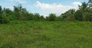 EastWest Bank Foreclosed Vacant Lot at Lot 2-F-1-A