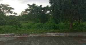 EastWest Bank Foreclosed Residential Lot at Lots 30 & 31
