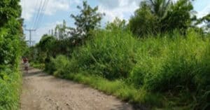 EastWest Bank Foreclosed Residential Lot at Lot 8479-E-1