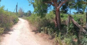 EastWest Bank Foreclosed Vacant Lot at Lot 2651