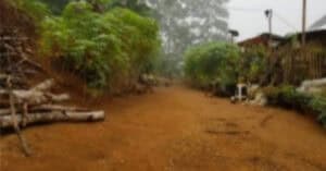 EastWest Bank Foreclosed Vacant Lot at Lot 4866-C