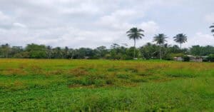 EastWest Bank Foreclosed Vacant Lot at Lot 901-B-7-A Brgy. Noli