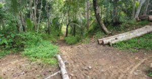 EastWest Bank Foreclosed Agricultural Lot at Lot 51