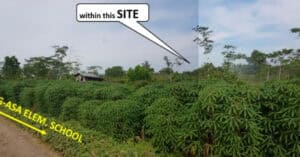 EastWest Bank Foreclosed Agricultural Lot at Lot 2444