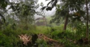 EastWest Bank Foreclosed Vacant Lot at Purok 5 Brgy. Patin-Ay Prosperidad Agusan Del Sur