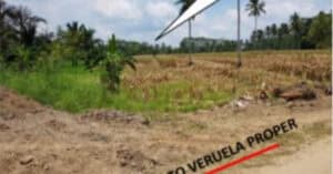 EastWest Bank Foreclosed Agricultural Lot at Lot 3103