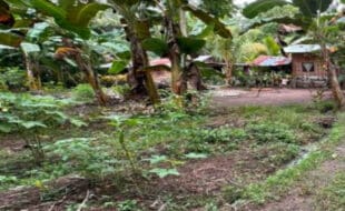 Foreclosed Properties Philippines Database 16 6826ed3615ef1423d9a42b46 667e7a5225c06f244cd1ca2b NAB 0025 01