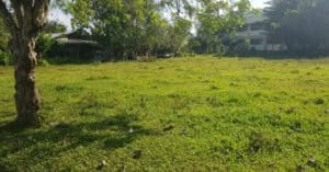 EastWest Bank Foreclosed Residential Lot at Lot 4365