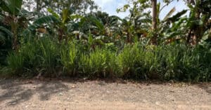 EastWest Bank Foreclosed Residential Lot at Lot 796-B-2-B