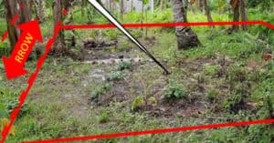 EastWest Bank Foreclosed Vacant Lot at Lot 2036-B