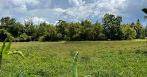 EastWest Bank Foreclosed Agricultural Lot at Lot3119