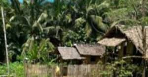 EastWest Bank Foreclosed Vacant Lot at Lot 2140 Brgy. Union Lingig Surigao Del Sur