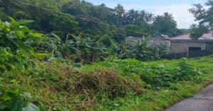 EastWest Bank Foreclosed Vacant Lot at Lot 1