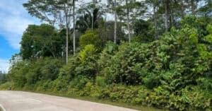 EastWest Bank Foreclosed Agricultural Lot at Lot 1380