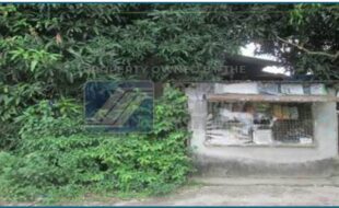 sss lot 14 block 23 no. 1182 santol street villa