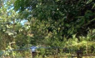 l s 3 201604 1640 11zon