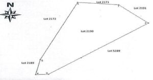 PDIC Foreclosed Agricultural - Vacant Lot: Lot No. 2190, Barangay Santa Misericordia, Santo Domingo, Albay - For Negotiated Sale