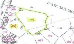 PDIC Foreclosed Agricultural - With Improvement: Lot 9610, Zone 2, Brgy. Niño Jesus, Iriga, Camarines Sur - For Negotiated Sale (Occupied)