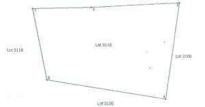 PDIC Foreclosed Agricultural - Vacant Lot: Lot 3116 PLS-785, Sitio Caigong, Brgy. Cayacay, Alicia, Bohol - For Negotiated Sale