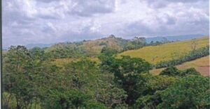 PDIC Foreclosed Agricultural - Vacant Lot: Lot No. 35, Survey No. GSS-2-000224-D, Brgy. Papan Este, Jones, Isabela - For Negotiated Sale