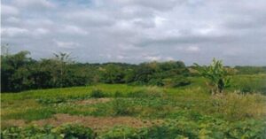 PDIC Foreclosed Agricultural - Vacant Lot: Lot No. 405-B, Psd-2-02-035692, Brgy. Malannit, Jones, Isabela - For Negotiated Sale