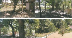 PDIC Foreclosed Residential - Vacant Lot: Lot No. 19, Psd-2-024804 (OLT), Brgy. Victoria, San Isidro, Isabela - For Negotiated Sale