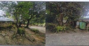 PDIC Foreclosed Residential - With Improvement: Lot No. 4344-D-3B, Psd-(af)-02-025789, Purok 2, Brgy. Dalibubon, Jones, Isabela - For Negotiated Sale (Occupied)