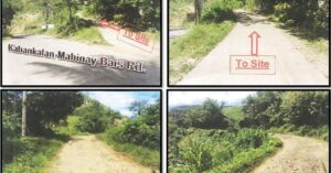 PDIC Foreclosed Agricultural - Others: Lot 1, Psu-07-03-001115, Brgy. Mayaposi, Mabinay, Negros Oriental - For Negotiated Sale