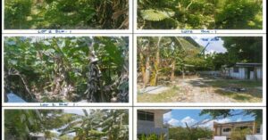 PDIC Foreclosed Residential - Vacant Lot: Lot 2, Blk. 1, (LRC) Pcs-16657, La Granja, Ticud, La Paz District, Iloilo City, Iloilo - For Negotiated Sale