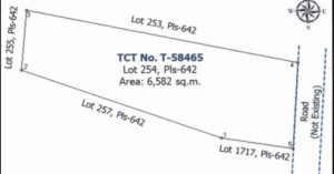 PDIC Foreclosed Agricultural - Vacant Lot: Lot 254, Pls. 642, Brgy. Paragat, Camalaniugan, Cagayan - For Negotiated Sale
