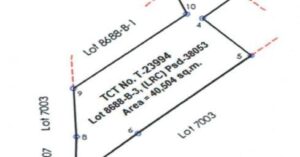 PDIC Foreclosed Agricultural - Vacant Lot: Lot 8688-B-3, (LRC) Psd-38053, Brgy. Malasin (formely Daramuangan), San Mateo, Isabela - For Negotiated Sale (Occupied)
