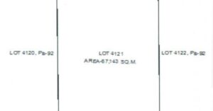 PDIC Foreclosed Agricultural - Vacant Lot: Lot 4121, Pls-92 Ext., Brgy. Escoting, Diadi, Nueva Vizcaya - For Negotiated Sale