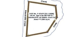 PDIC Foreclosed Agricultural - Vacant Lot: Lot 46, Sgs-2-02-001920-D, Barangay Villaflor, San Isidro, Isabela - For Negotiated Sale