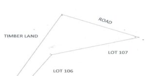 PDIC Foreclosed Agricultural - Vacant Lot: Lot No. 108, GSS-2-000224-D, Brgy. Papan Este, Jones, Isabela - For Negotiated Sale