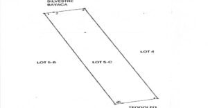 PDIC Foreclosed Agricultural - Vacant Lot: Lot 5-C, Psd-2-02-011826, Brgy. Pisang, San Manuel, Isabela - For Negotiated Sale