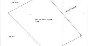 PDIC Foreclosed Residential/Agricultural - Vacant lot: Lot 3014, Pls-595-Ext. Barangay Nagcampegan, Cauayan, Isabela - For Negotiated Sale