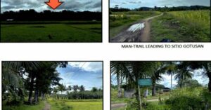 PDIC Foreclosed Agricultural - Vacant Lot: Lot No. 154 pt. Sitio Gotusan, Barangay Ortega, Libacao, Aklan - For Negotiated Sale