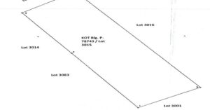 PDIC Foreclosed Residential/Agricultural - With Improvement: Lot 3015, PIs-595-Ext., Brgy. Nagcampegan, Cauayan, Isabela - For Negotiated Sale (Occupied)