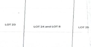 PDIC Foreclosed Residential - Vacant Lot: Lot 24 & Lot 8, Psd-2-02-007107, Brgy. Minante 1, Cauayan, Isabela - For Negotiated Sale