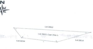 PDIC Foreclosed Agricultural - Vacant Lot: Lot No. 2813, CAD-704-D Barangay Napaan, Malay, Aklan - For Negotiated Sale