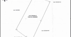 PDIC Foreclosed Residential/Agricultural - Vacant lot: Lot 10164-A, Psd-01-058484, Brgy. Tangcarang, Alaminos, Pangasinan - For Negotiated Sale