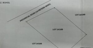 PDIC Foreclosed Residential - With Improvement: Lot 14189, Barangay Tabuan, Garcia-Hernandez, Bohol - For Negotiated Sale (Occupied)