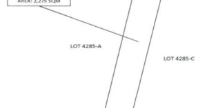 PDIC Foreclosed Residential/Agricultural - Vacant lot: Lot 4285-B, (LRC) Psd-181949, Barangay Dicolor, Gerona, Tarlac - For Negotiated Sale
