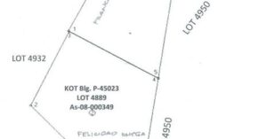 PDIC Foreclosed Agricultural - Vacant Lot: Lot 4889 As-08-000349, Barangay Gibacungan, Tabango, Leyte - For Negotiated Sale