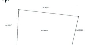 PDIC Foreclosed Agricultural - Vacant Lot: Cad Lot No. 5306, Barangay Maningcao, Sibulan, Negros Oriental - For Negotiated Sale