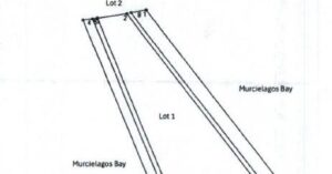 PDIC Foreclosed Agricultural - Vacant Lot: Lot 1, Cad 837, Sinipay, Sibutad, Zamboanga Del Norte - For Negotiated Sale (Occupied)
