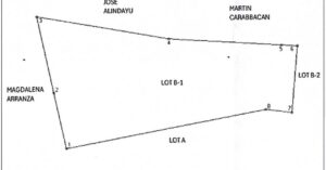 PDIC Foreclosed Agricultural - Vacant Lot: Lot B-1, Psd-2-02-016391, Brgy. Consular, Angadanan, Isabela - For Negotiated Sale