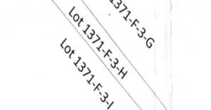 PDIC Foreclosed Agricultural - Vacant Lot: Lot 1371-F-3-H, Psd-02-058228, Barangay Viga, Angadanan, Isabela - For Negotiated Sale (Occupied)