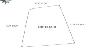 PDIC Foreclosed Residential/Agricultural - Vacant lot: Lot 1200-C, Psd-04-093000, Barangay San Isidro, Taysan, Batangas - For Negotiated Sale