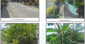 PDIC Foreclosed Residential - Vacant Lot: Lot 14731, Cad-584, Case 12, Brgy. Poblacion II, Bauan, Batangas - For Negotiated Sale